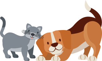 cão e gato