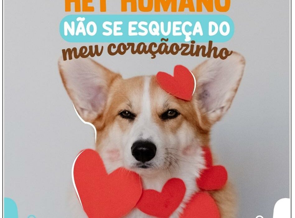 setembro vermelho