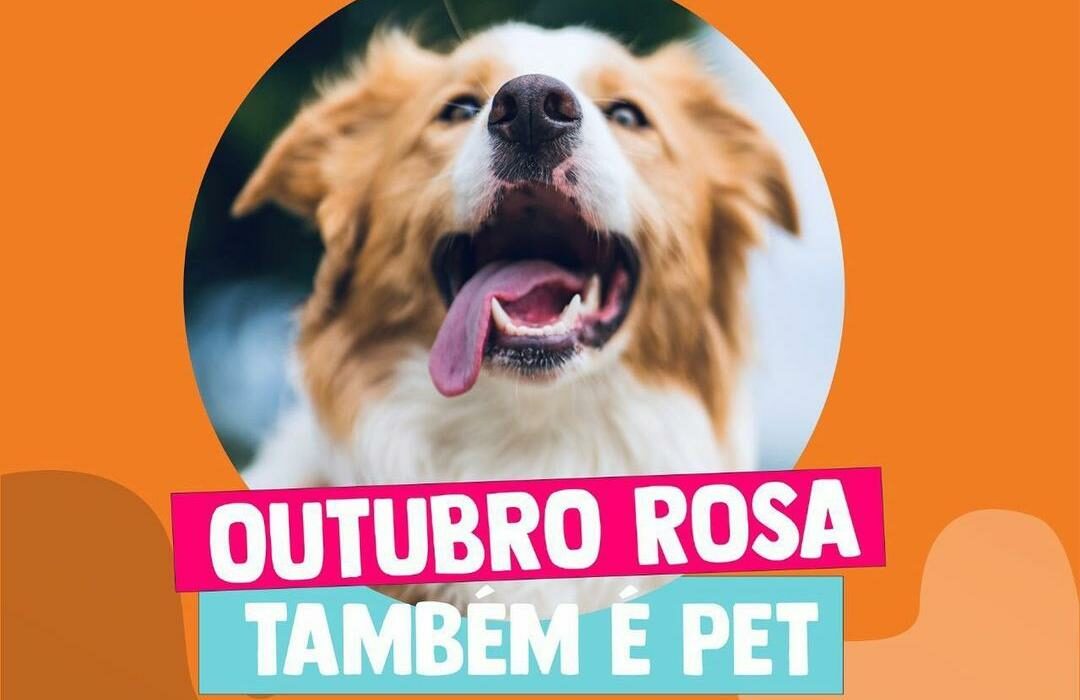 Outubro Rosa Pet