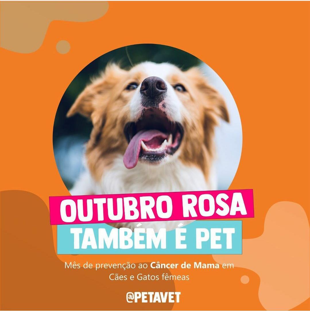 Outubro Rosa Pet