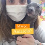 Março Amarelo - Mês da Prevenção às Doenças Renais